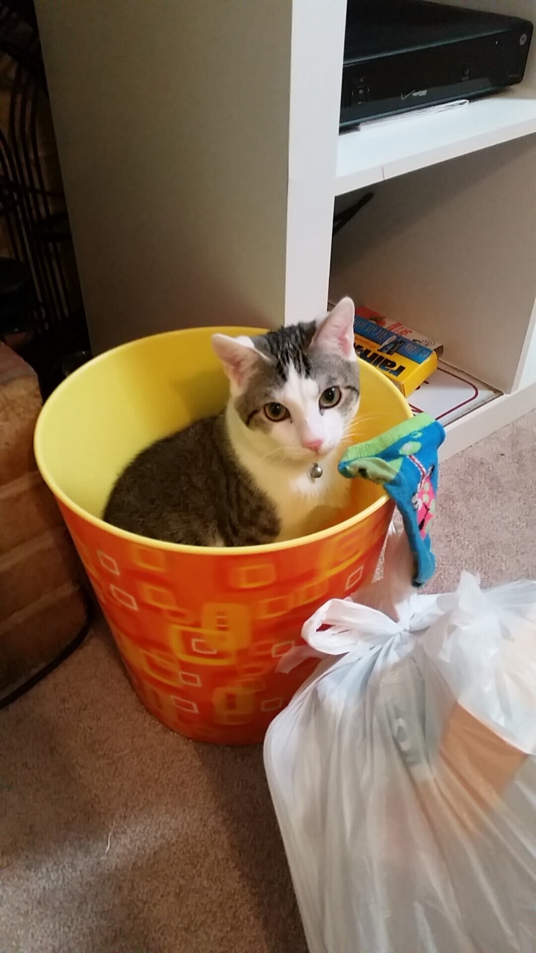 双线辉煌，红牛二队的精密团队协作与诺里斯的领袖锋芒