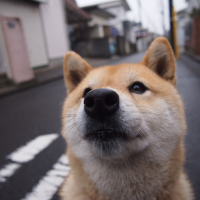 黑白镜像,当墨西哥的沙漠风吹过NBA的硬木地板