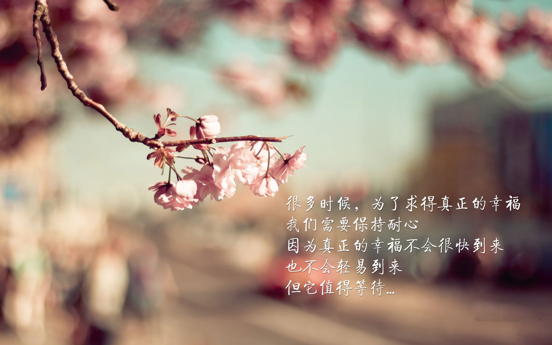 铁幕与尖刀，玻利维亚如何用一场不流血的战术革命，让巴西桑巴哑火，并锻造出关键先生赖斯