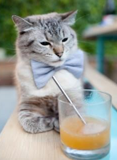 马竞铁血终结爱尔兰童话，2026世界杯蒂亚戈加冕为王