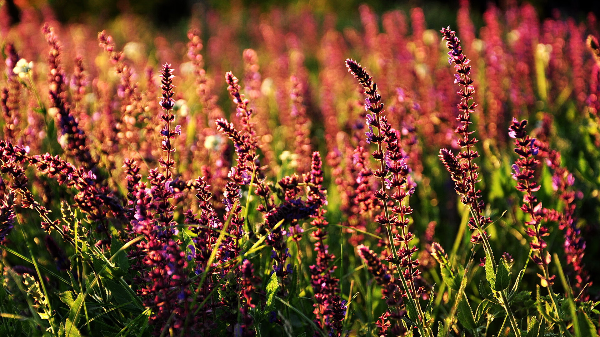 欧冠淘汰赛之夜，哈登用篮球哲学完成跨界封神