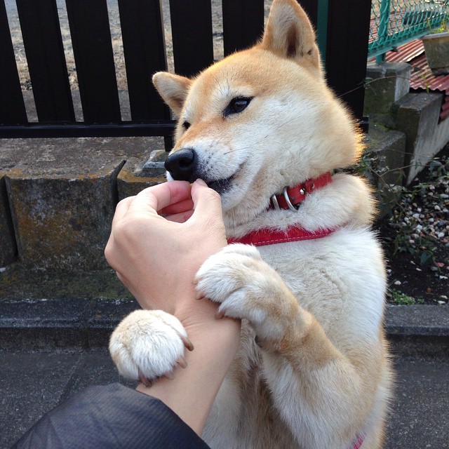 唯一性,恩比德—这场西部对决的教科书为何不可复制?