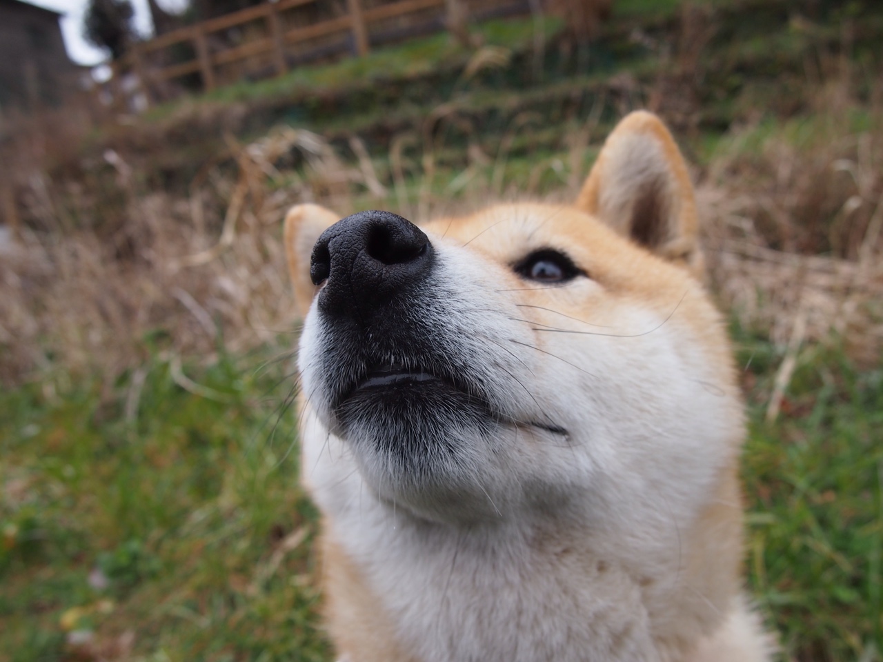 枪手北上斩落苏超霸主，马丁内利一锤定音定乾坤