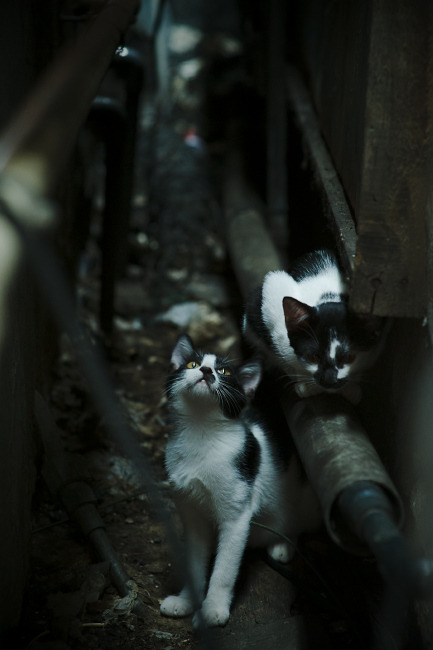 最后一步，38岁的C罗，在莱比锡完成了职业生涯最特别的客串