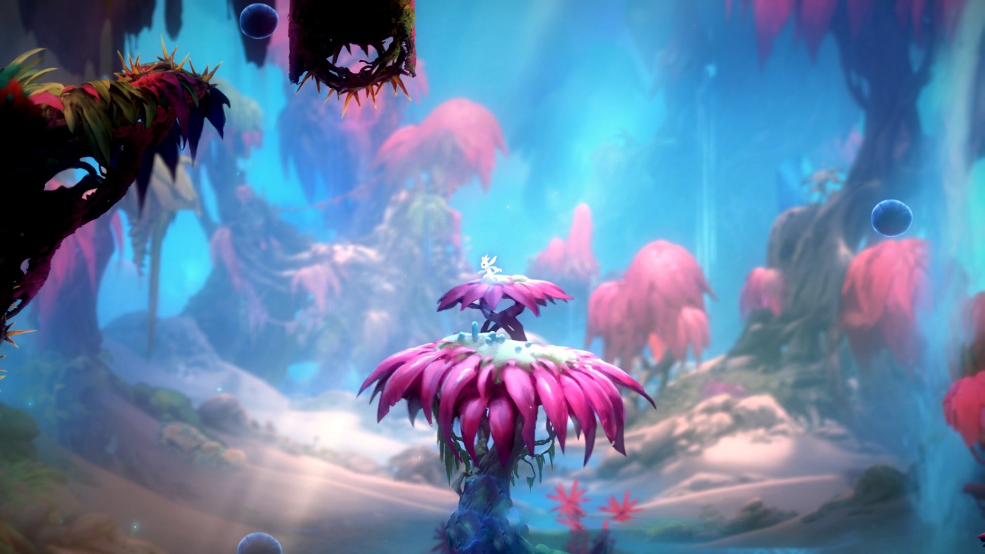 双线革命,当哥伦比亚的铁蹄踏碎蓝白神话,李刚仁的舞步正定义德甲新王冠