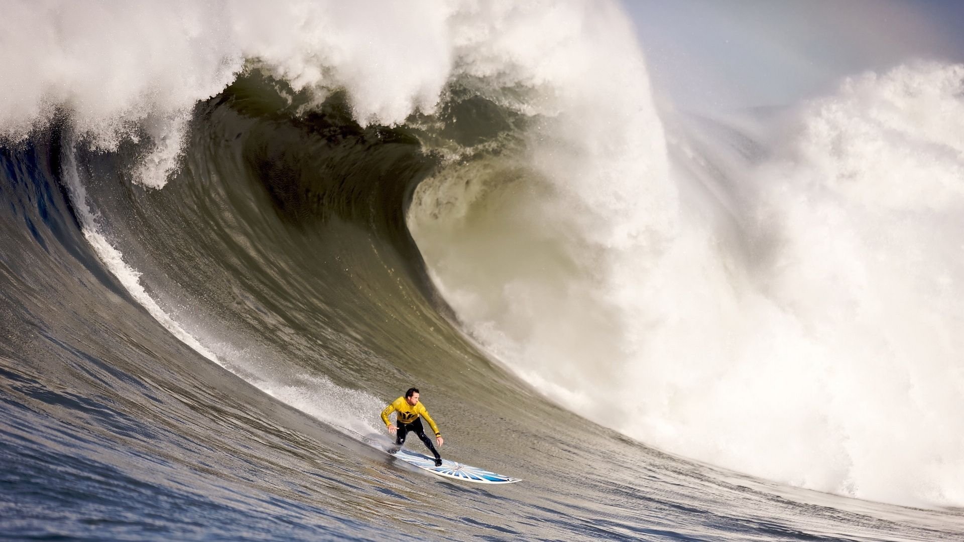 红白之夜的绿色风暴,2026世界杯E组焦点战,葡萄牙如何用完胜波兰宣告王者归来